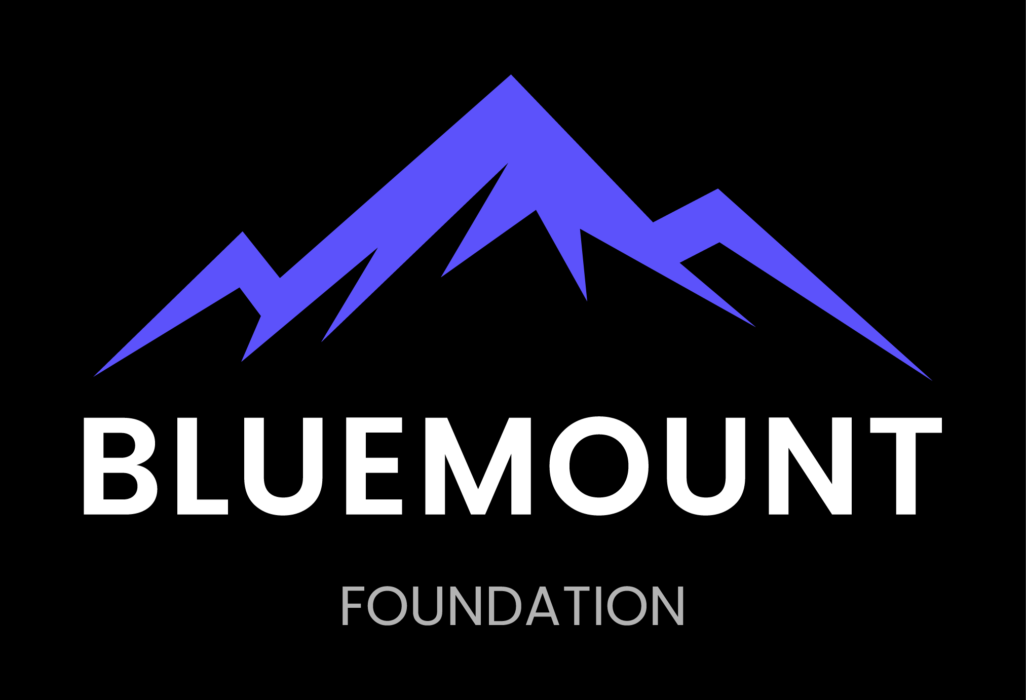 Bluemount Capital logo